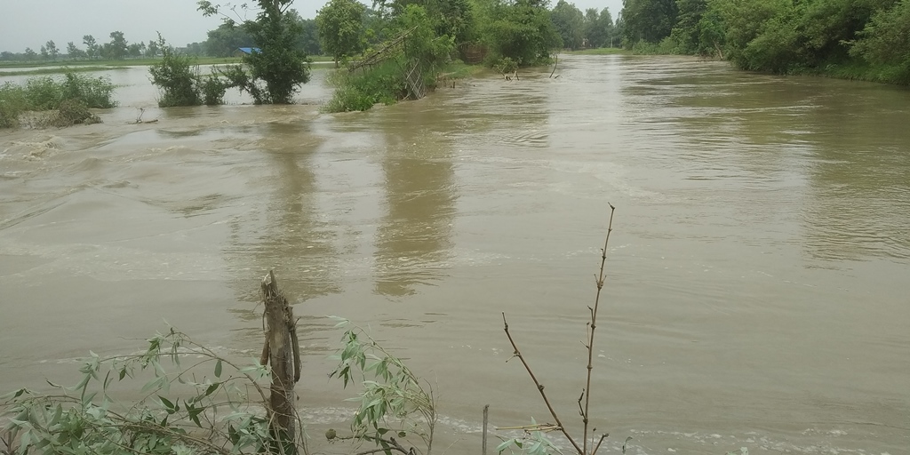 बस्ती पस्यो जिता नदी, दुई सय घर डुबानमा, सयौं बिघा धानबाली नष्ट