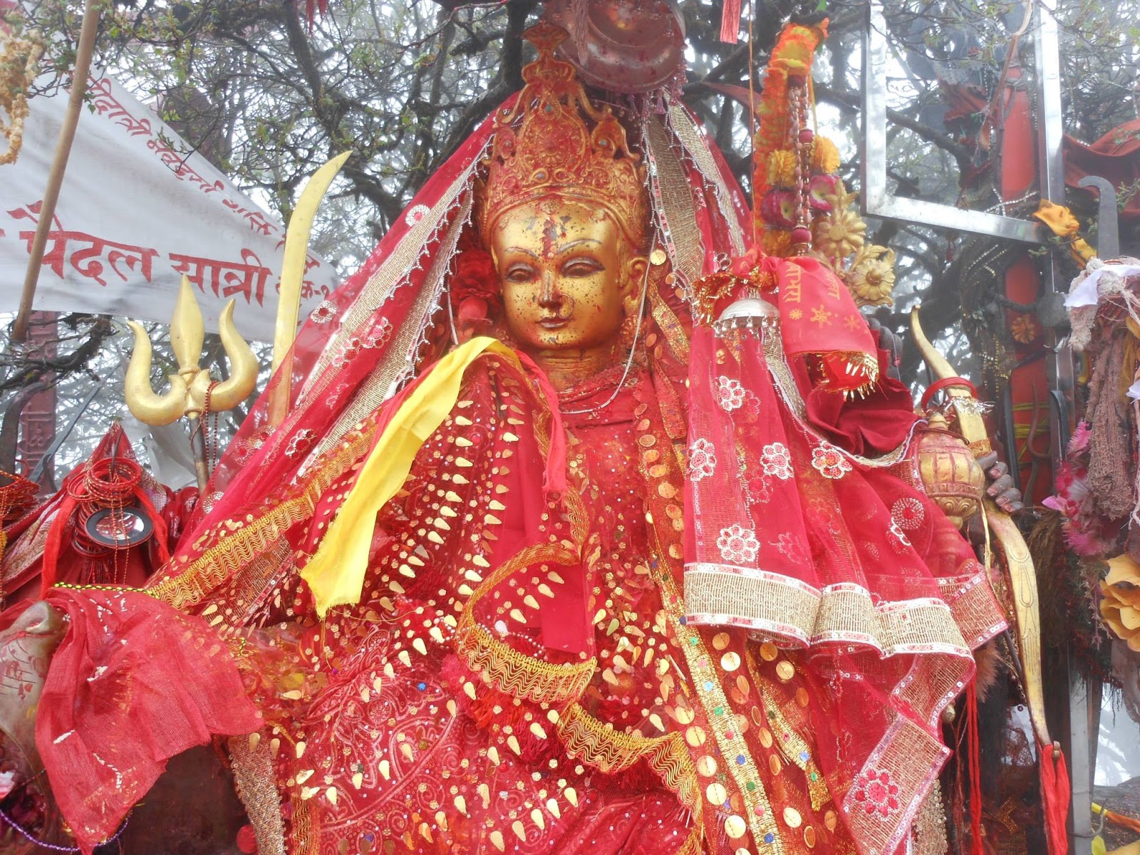 पाथिभरा माताले हामी सबैको मनोकांक्षा पुरा गरुन, हेर्नुहोस् मंगलबारको राशिफल