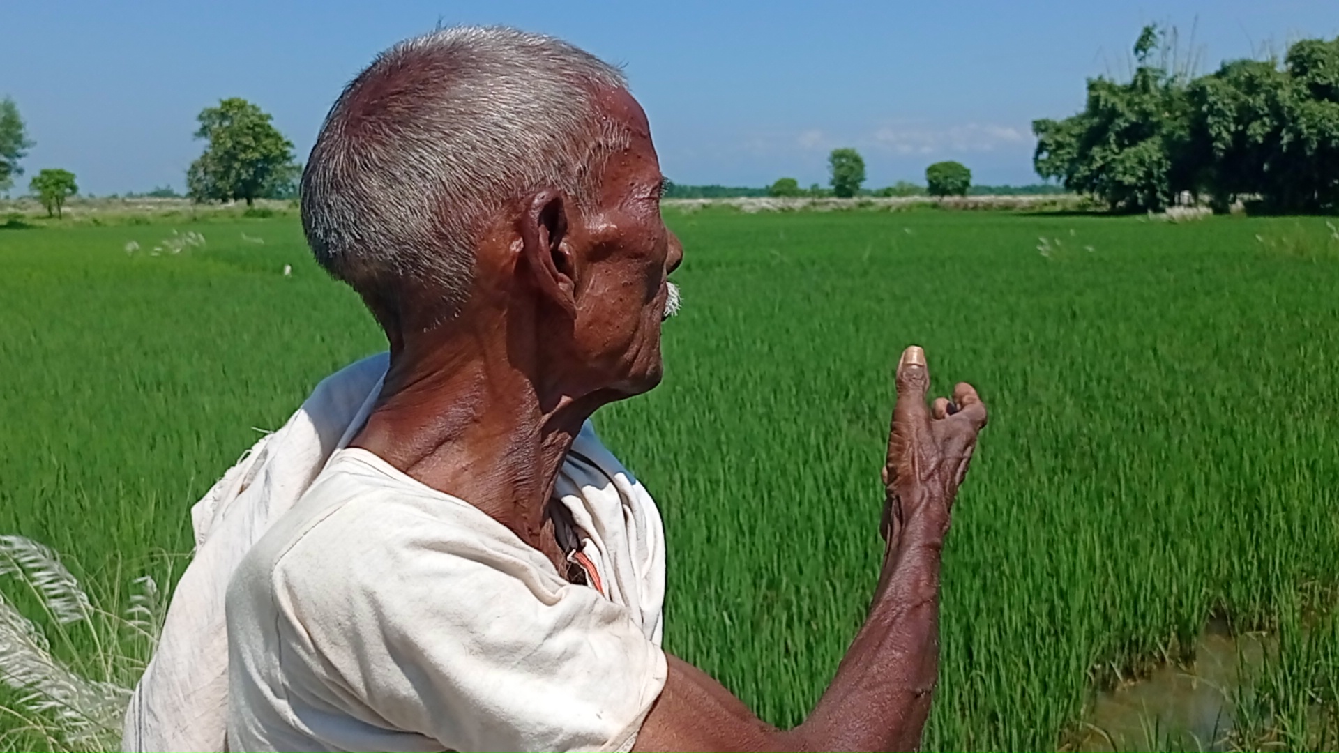 मल नपाएर रौतहटका किसान चिन्तित