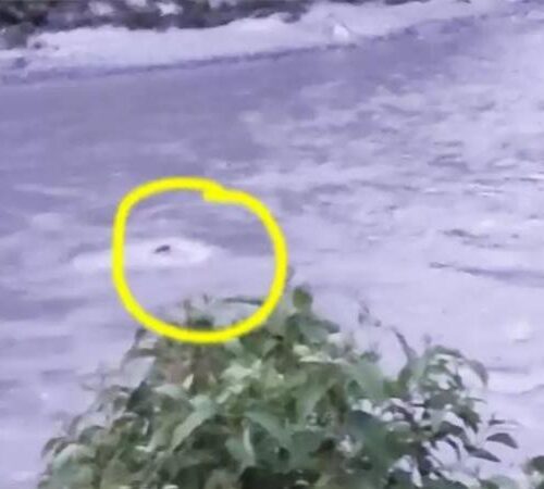 त्रिशूलीमा देखिएको रातो वस्तु बस नभएको पुष्टि, भारतीय टोली आज फर्किने