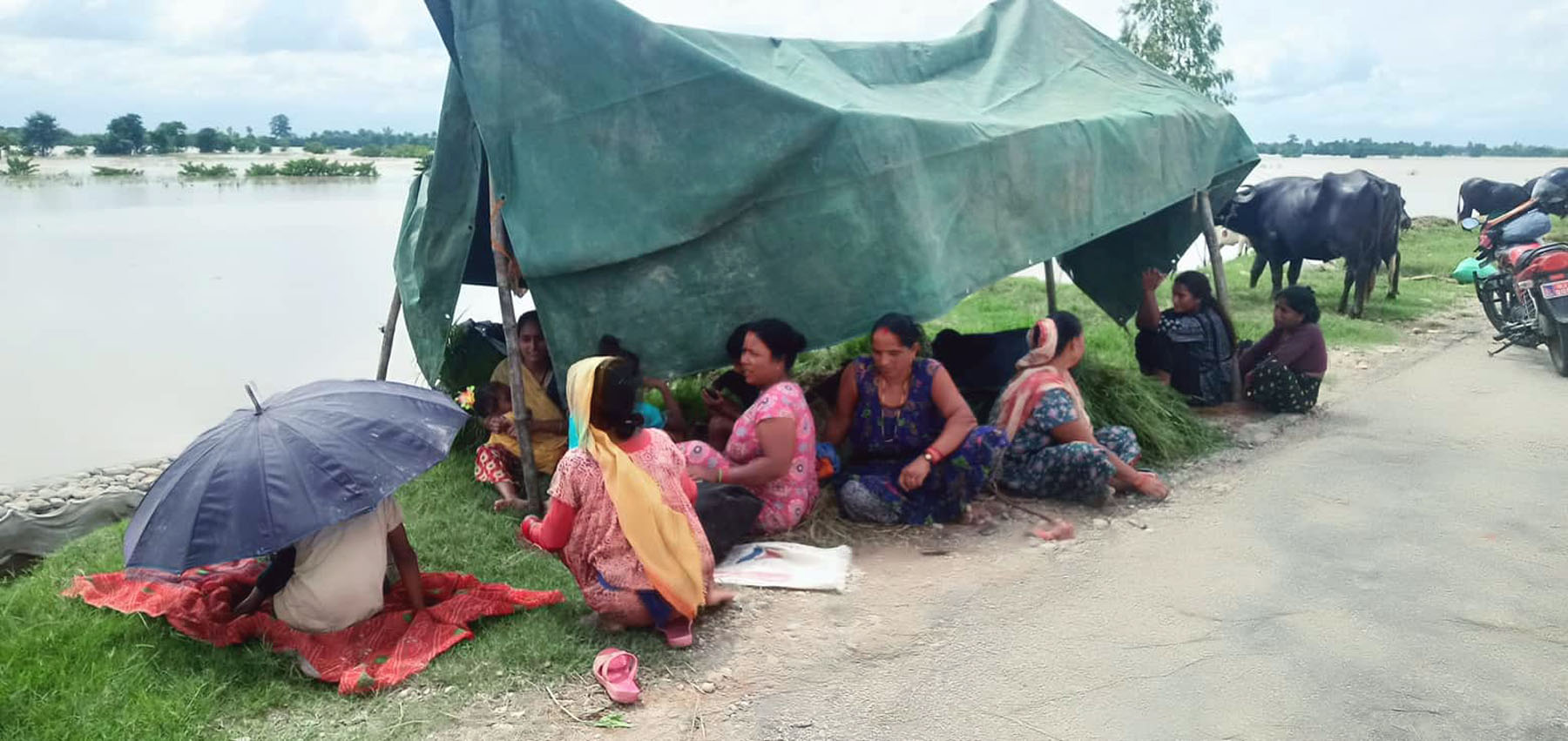 कैलालीका बाढी पिडितलाई  सडक छेउमा त्रिपाल