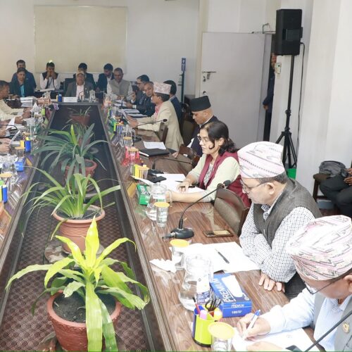 आज आठ वटा संसदीय समितिको बैठक बस्दै