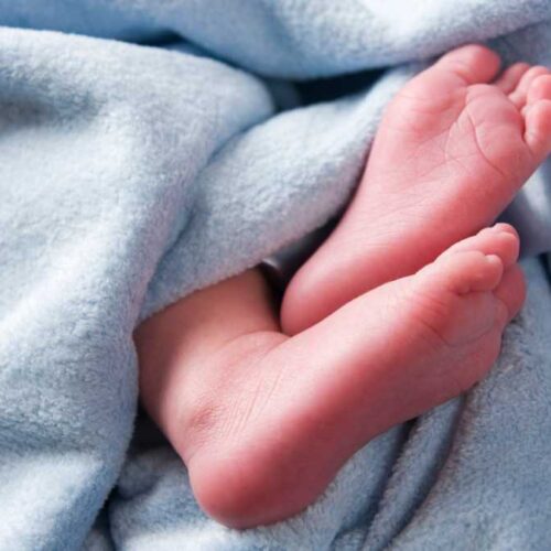 सर्पको डसाइबाट ६ वर्षीया बालिकाको मृत्यु