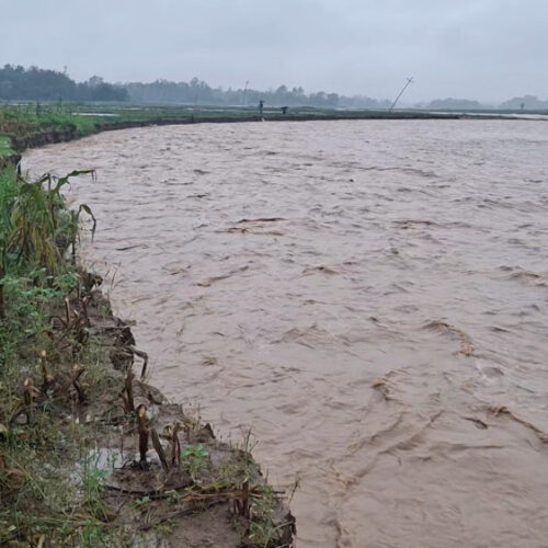 दाङमा खोलाले अटो बगाउँदा दुई जना बेपत्ता
