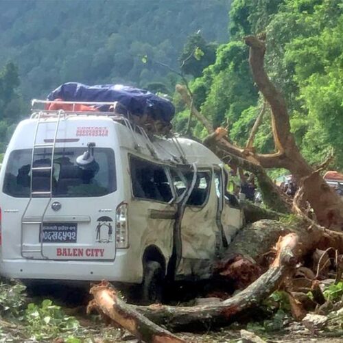 धादिङमा गुडिरहेको माइक्रो बसमाथि रुख ढल्यो, ७ जना घाइते