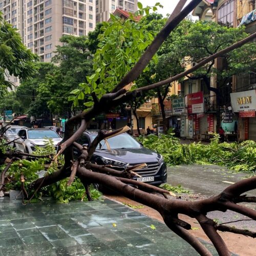 भियतनाममा आँधीका कारण नौ जनाको मृत्यु