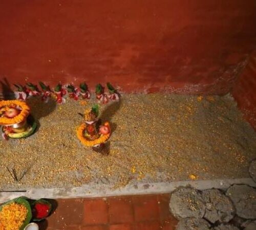 दशैं घरमा राखियो जमरा