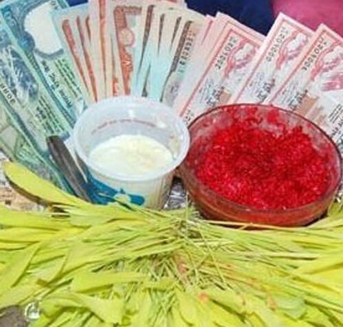आज पापाङ्कुशा एकादशीः मान्यजनबाट टीका र जमरा लगाउने क्रम जारी