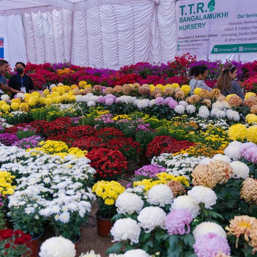 १७औँ गोदावरी पुष्प मेला सम्पन्न, एक करोड १८ लाखको कारोबार