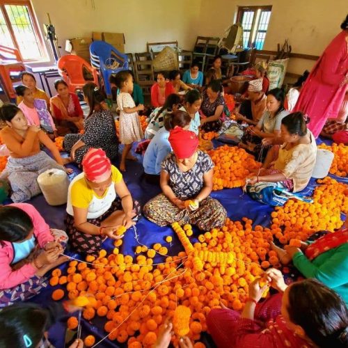 तनहुँको सयपत्री कतार निर्यात