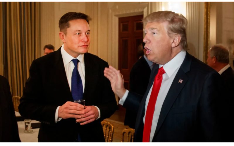 donald trump and elon musk
