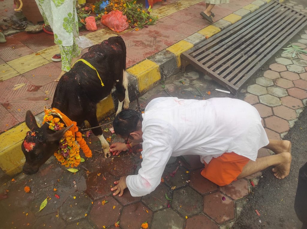 श्री परमानन्द सरस्वतीटोल बिकास संस्थाको आयोजनामा गौ पुजा सम्पन्न 3 506