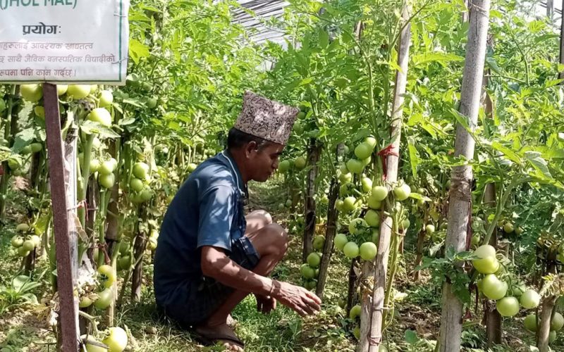 Nagendra Khadka Gaunle FM Dai Dailekh
