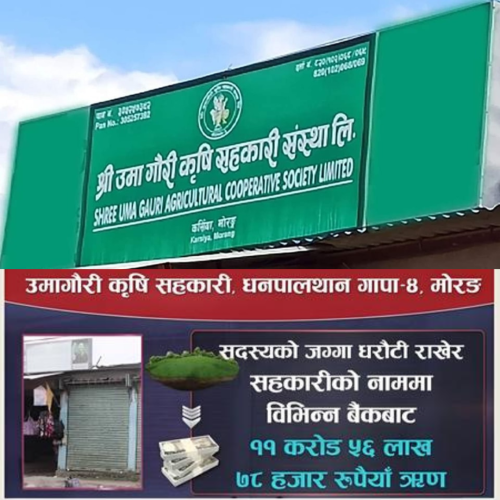 उमागौरी सहकारी ठगी प्रकरण: थप अनुसन्धान र गिरफ्तारी