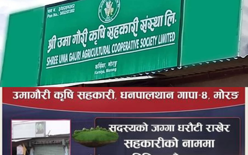 SAHAKARI KANDA MORANG