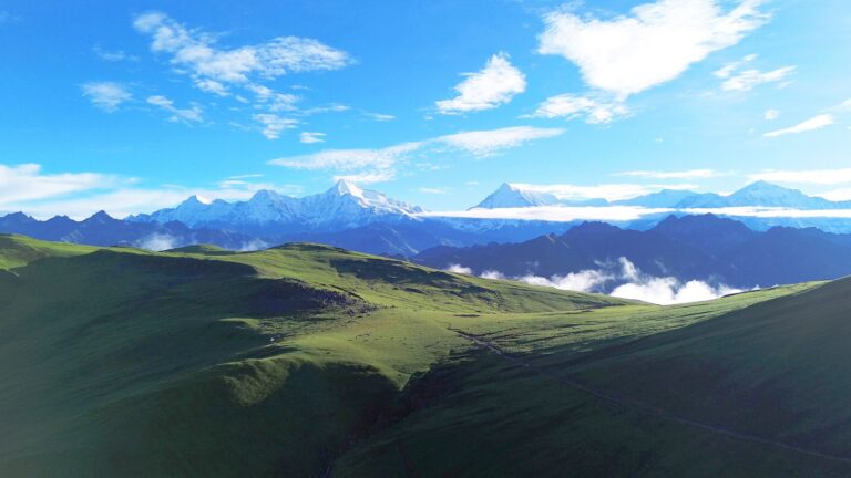dhor patan aajakaura