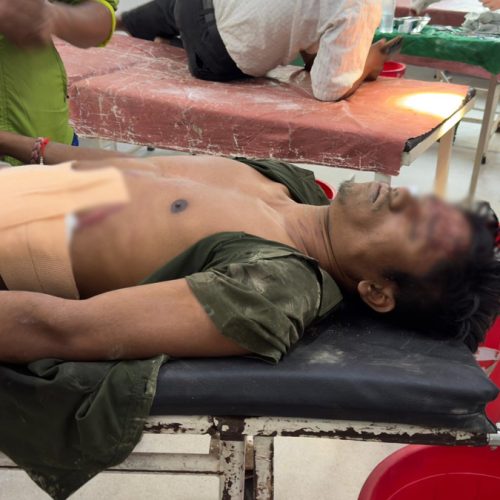चितवनको सामुदायिक वनमा गैंडाको आक्रमण, पथप्रदर्शक घाइते