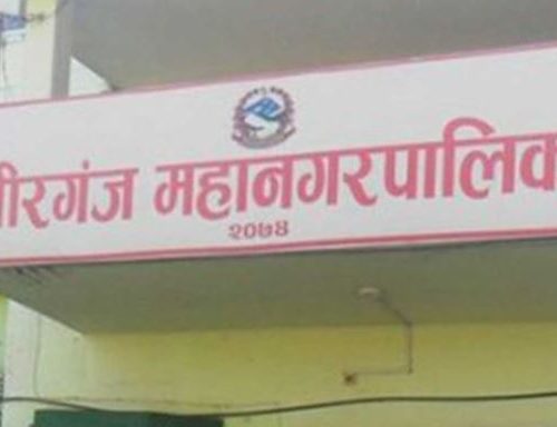 चिसो बढेसँगै वीरगन्ज महानगरका विद्यालय तीन दिन बन्द