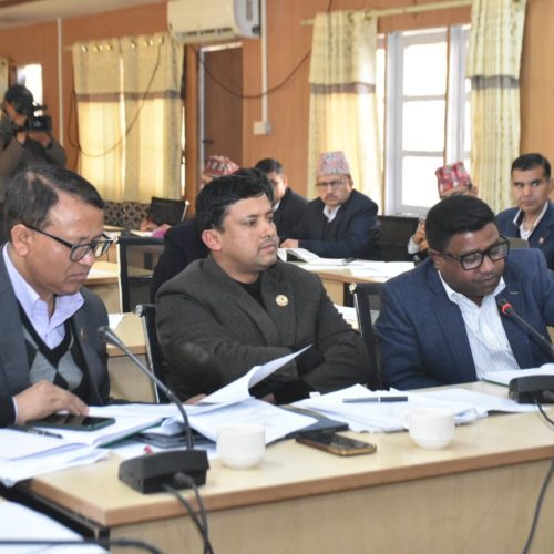 संघीय संसदअन्तर्गत चारवटा समितिको बैठक आज बस्दै