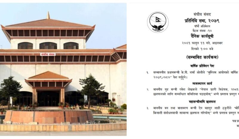 pratinidhi sabha