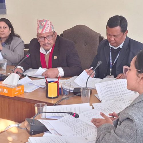 पूर्वराष्ट्रपति र पूर्वप्रधानमन्त्रीलाई कुलपति बनाउने प्रस्तावमा पूर्वउपकुलपतिहरूको असहमति
