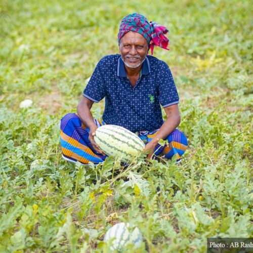 नेपालले बंगलादेशको कृषि रूपान्तरणबाट के सिक्न सक्छ?