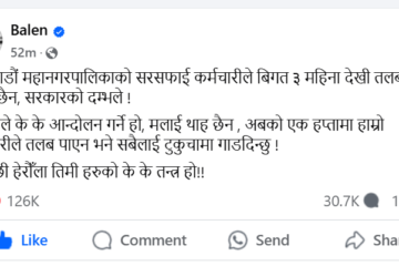 होमपेज