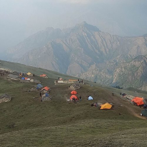 दार्चुलामा यार्सागुम्बा संकलन सुरु: आम्दानीको आशा र जोखिमको चुनौती