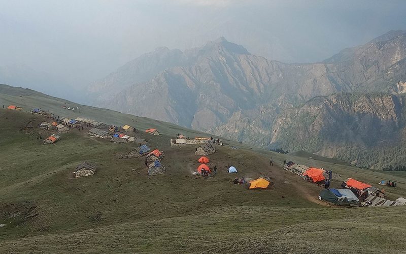 दार्चुलामा यार्सागुम्बा संकलन सुरु: आम्दानीको आशा र जोखिमको चुनौती