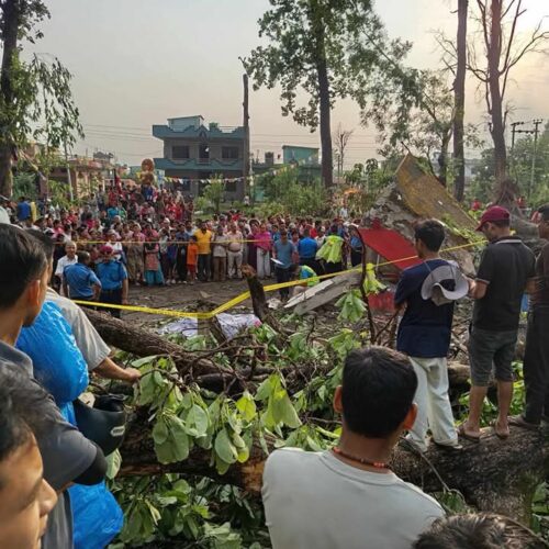 नवलपरासीमा रुखले च्यापेर दुई जनाको मृत्यु, तीन जना गम्भीर घाइते