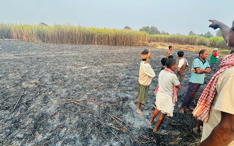 लहानको उखुबारीमा आगलागी, एक करोड बढीको क्षति
