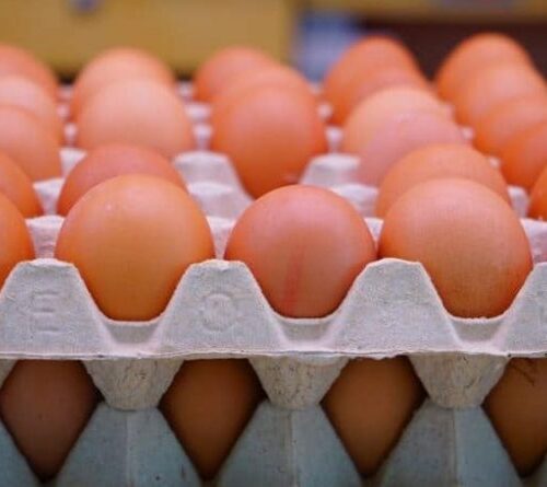आजदेखि अण्डाको मूल्य बढ्यो, प्रतिगोटा कति पुग्यो ?