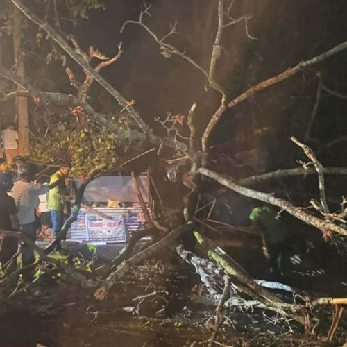 उदयपुरमा हावाहुरीले २ जनाको मृ*त्यु, ५ जना घाइते