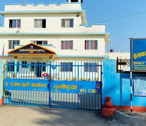 बिचौलियाको आरोपमा १० जना लेखापढी व्यवसायी पक्राउ